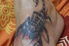 scorpion